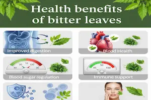 Health Benefits and Side Effects of Bitter Leaves