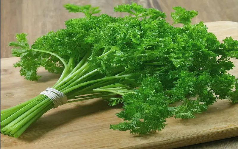 How to grow parsley from seed