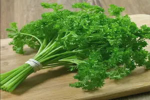 Growing Parsley from Seed: A Step-by-Step Guide