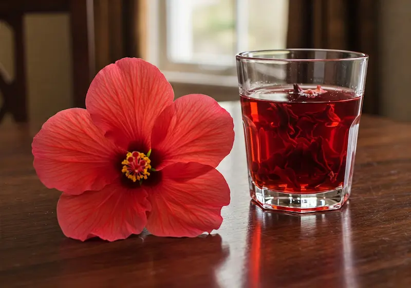 Red hibiscus flower next to tea