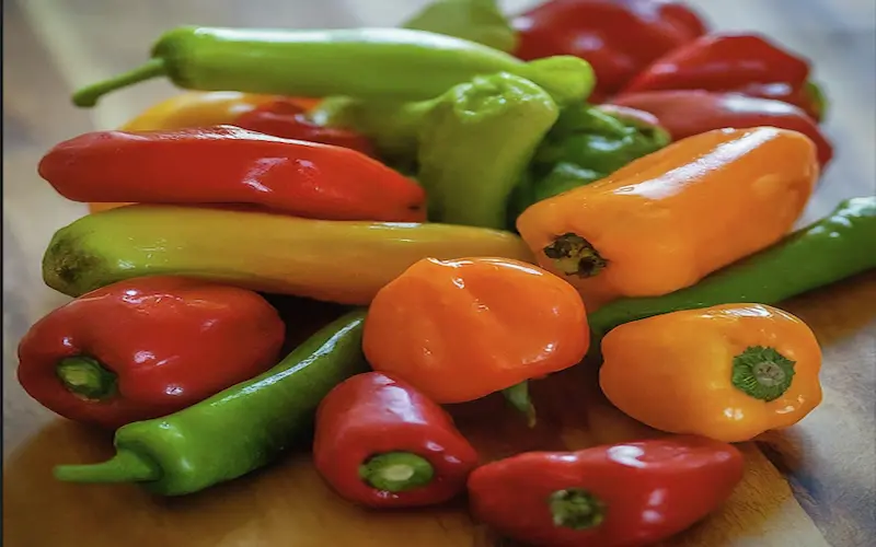 Types of peppers with pictures