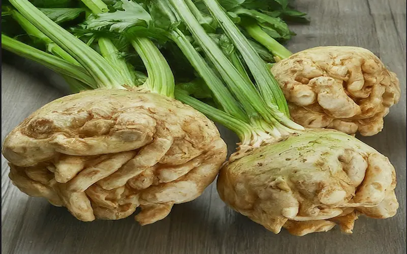 What is celeriac root