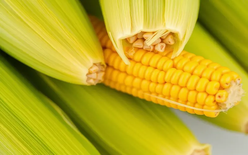 Corn